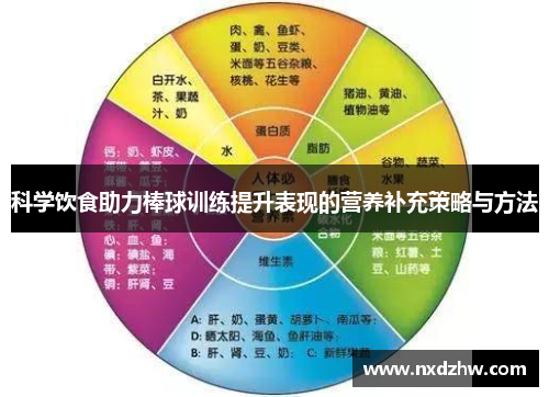 科学饮食助力棒球训练提升表现的营养补充策略与方法