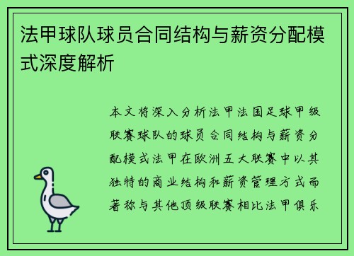 法甲球队球员合同结构与薪资分配模式深度解析