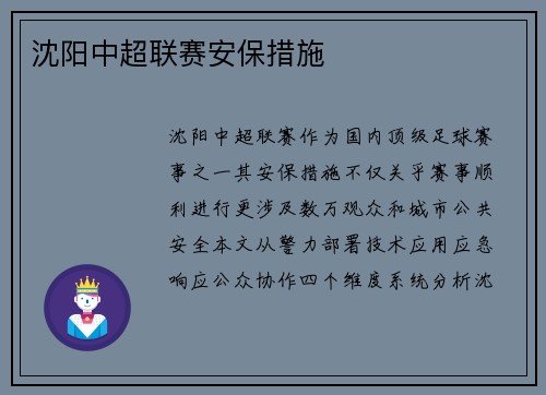 沈阳中超联赛安保措施