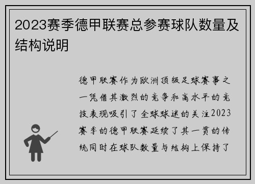 2023赛季德甲联赛总参赛球队数量及结构说明